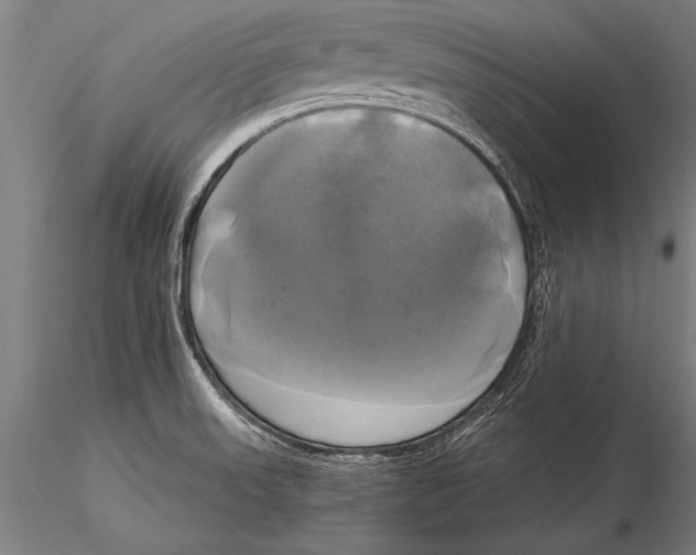 X0000116031523200912111404