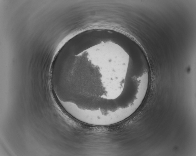 X0000116031525200912111404