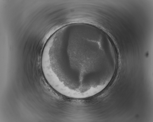 X0000116031529200912111404