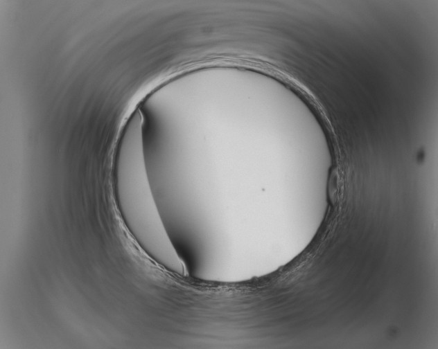 X0000116031530200912111404