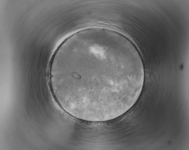 X0000116031531200912111404