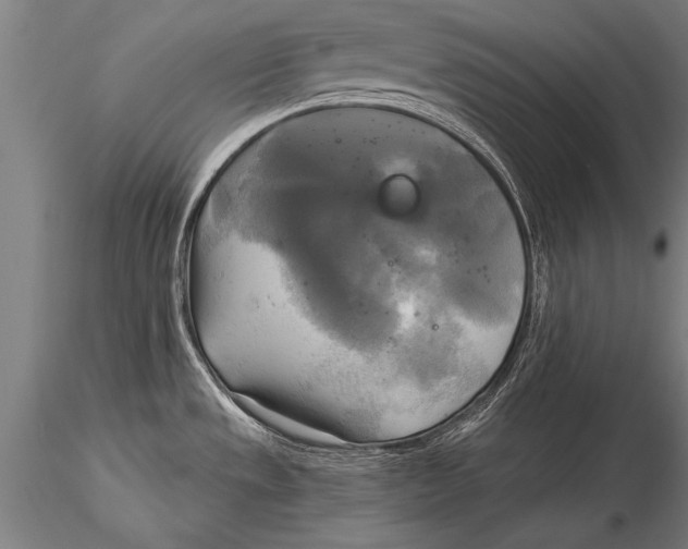 X0000116031533200912111404