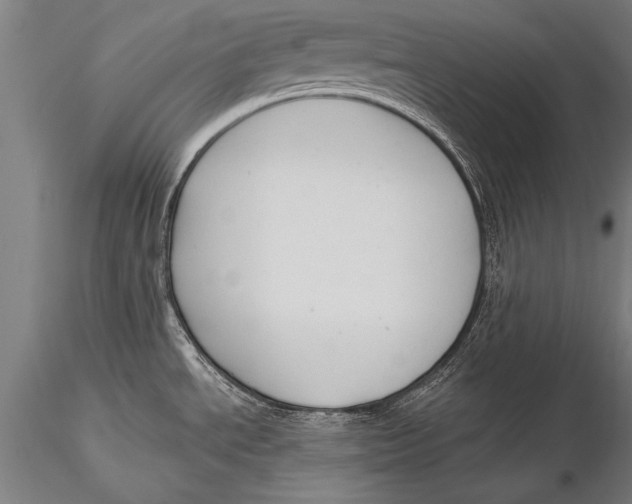 X0000116031534200912111404