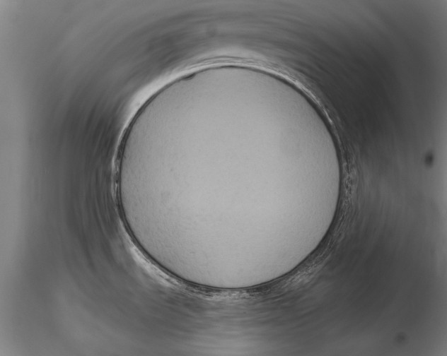 X0000116031535200912111404