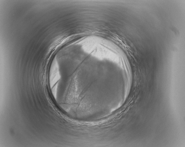 X0000116030002200912181220