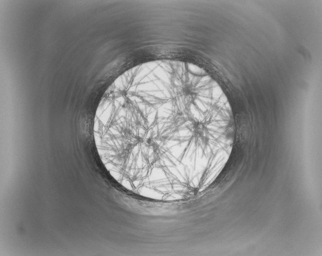 X0000116030044200912181219