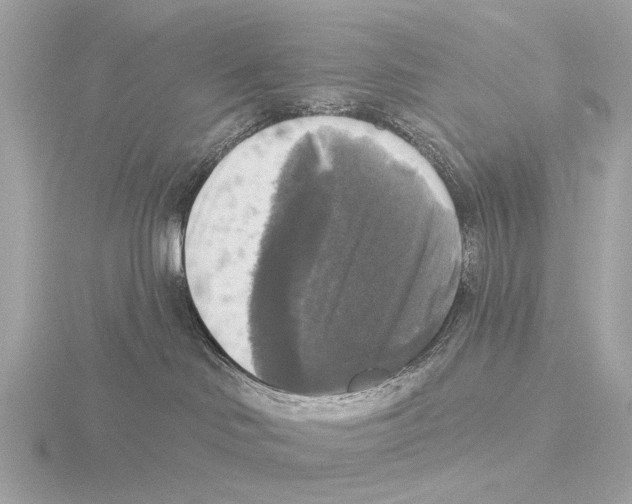 X0000116030046200912181219