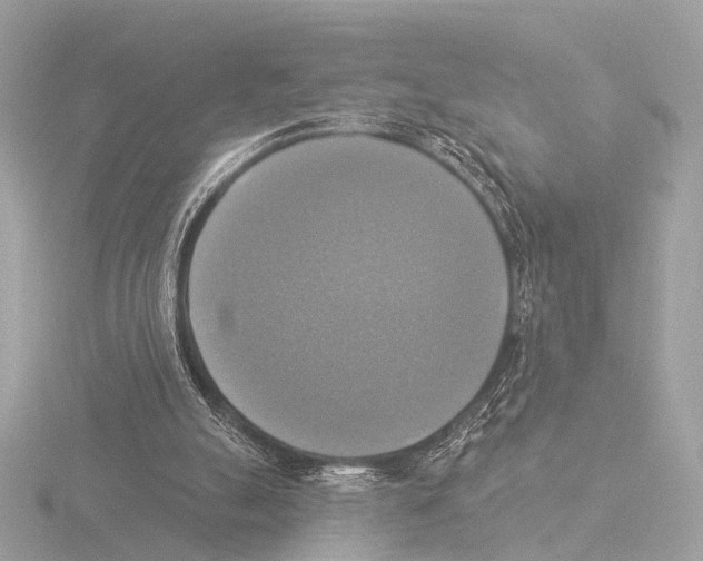 X0000116030055200912181218