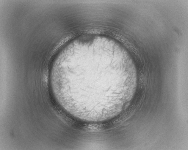 X0000116030064200912181218