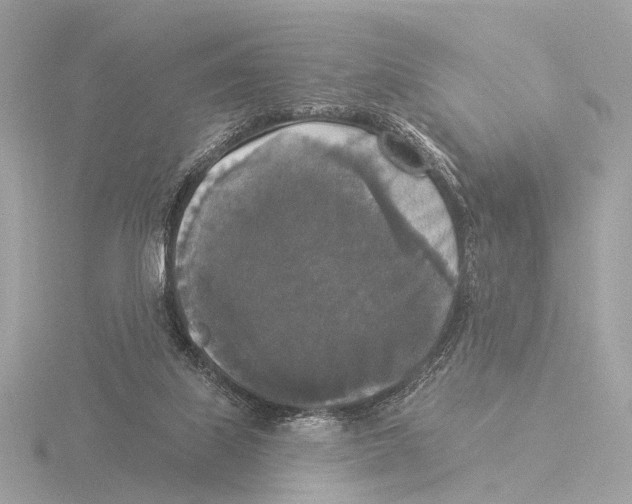 X0000116030067200912181218