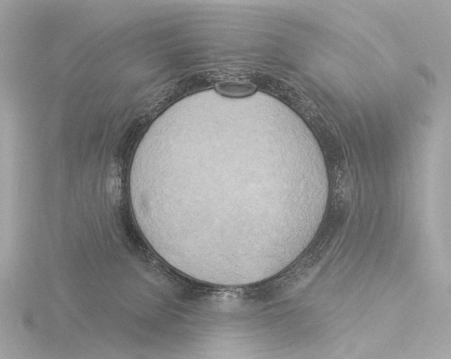 X0000116030080200912181219