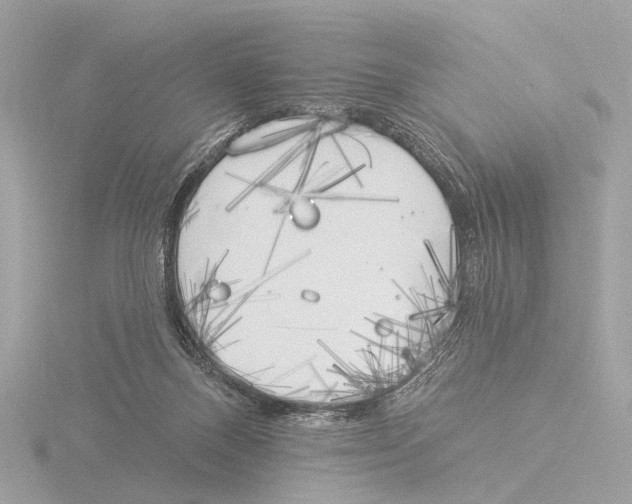 X0000116030120200912181218