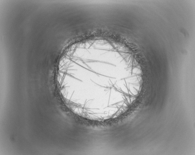 X0000116030144200912181218