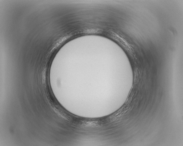 X0000116030155200912181217