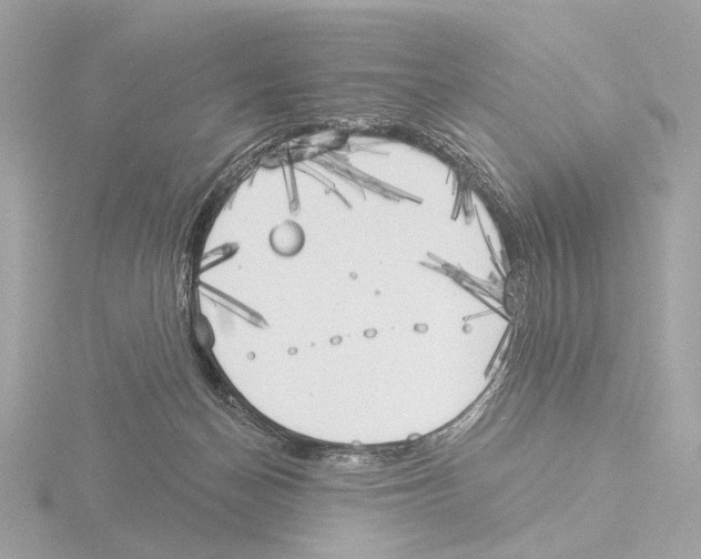 X0000116030174200912181217