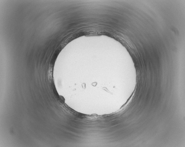 X0000116030190200912181218