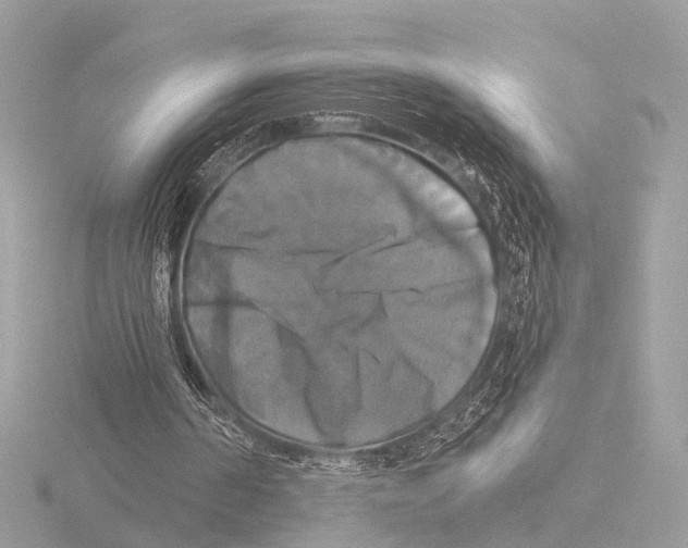 X0000116030194200912181217