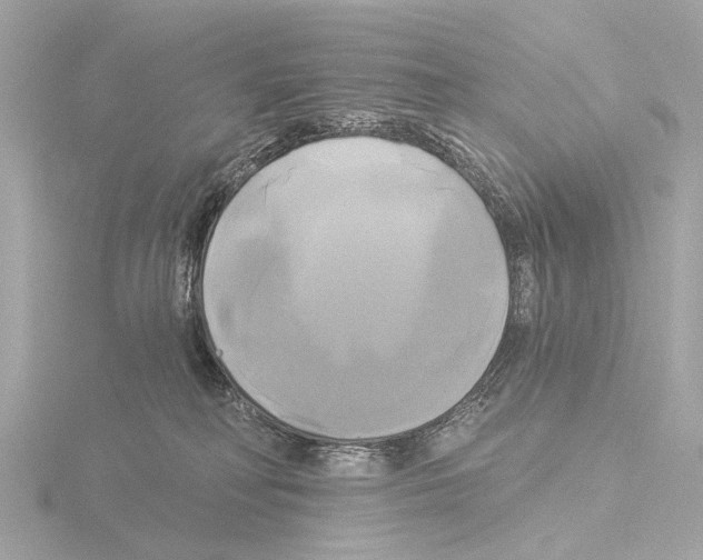 X0000116030230200912181216