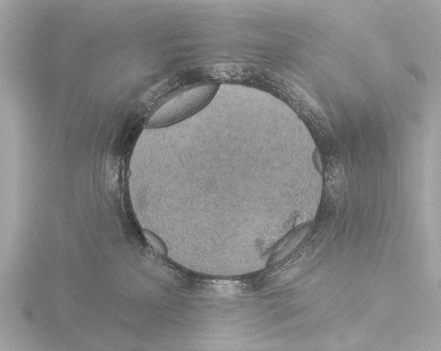 X0000116030233200912181216