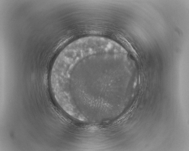 X0000116030249200912181216