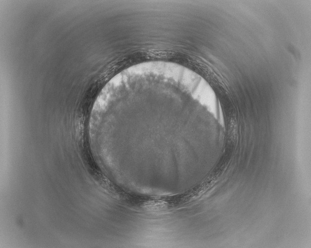 X0000116030271200912181216