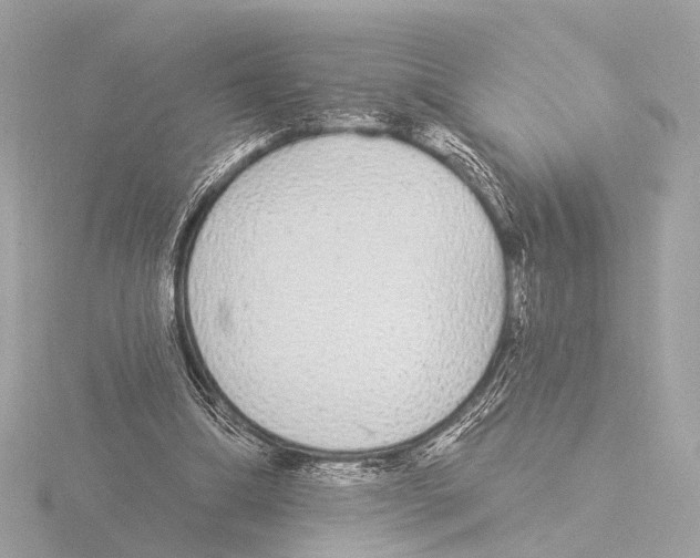 X0000116030298200912181215