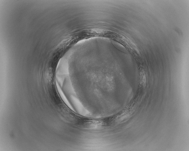 X0000116030328200912181215