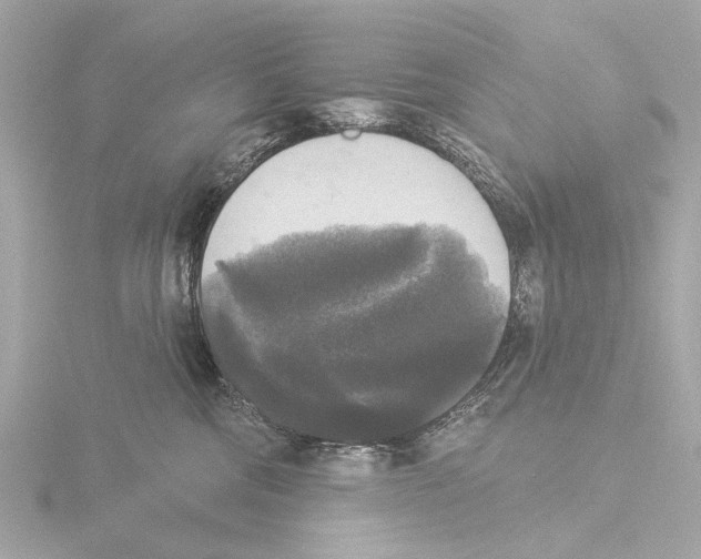X0000116030330200912181215