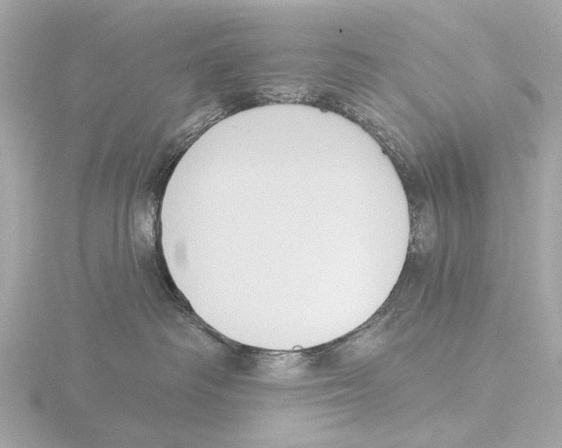 X0000116030334200912181215