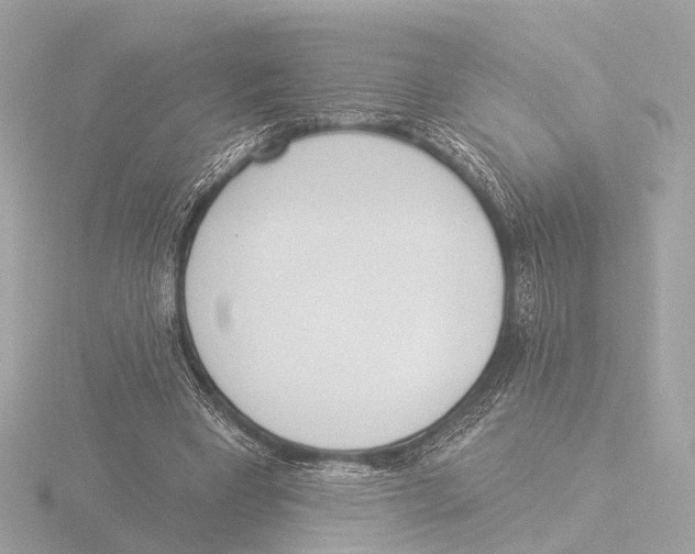 X0000116030393200912181214