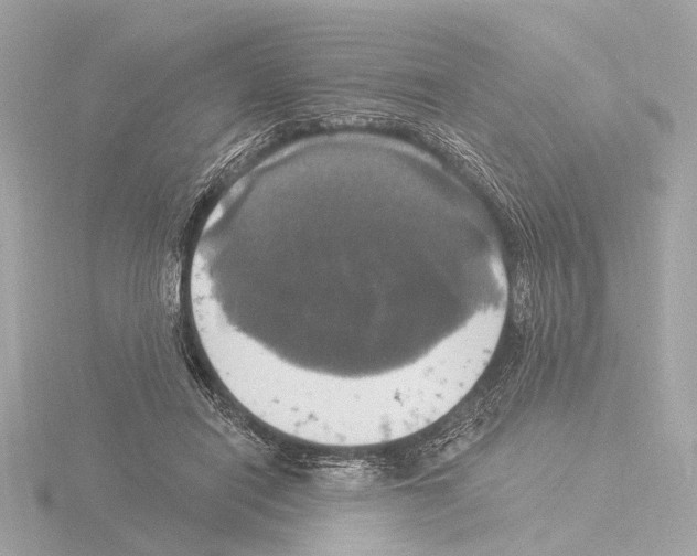 X0000116030454200912181213