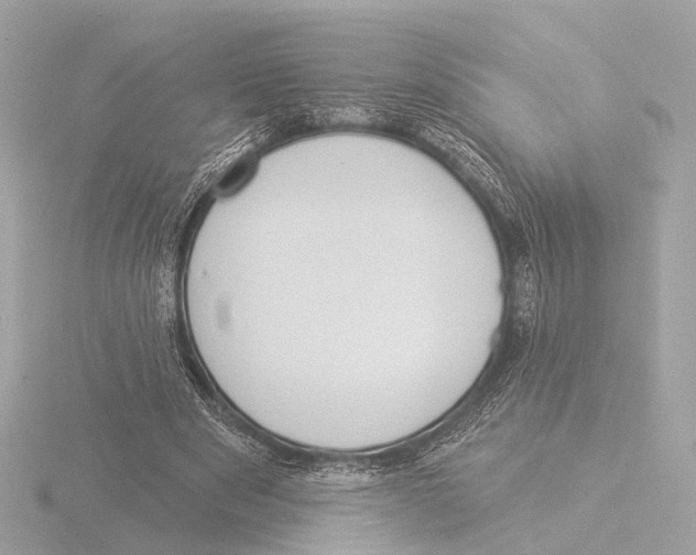 X0000116030489200912181213