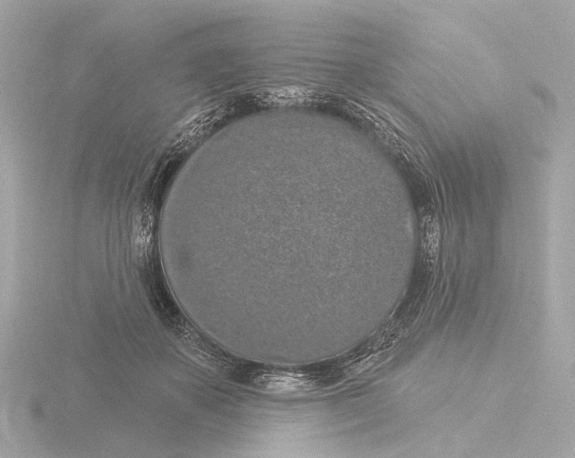 X0000116030507200912181213