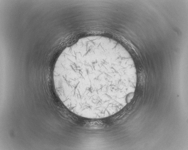 X0000116030517200912181213