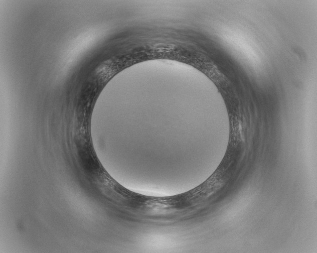 X0000116030526200912181212