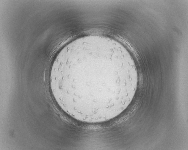 X0000116030529200912181212