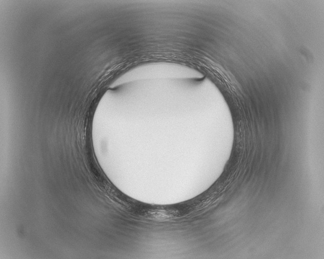 X0000116030558200912181212