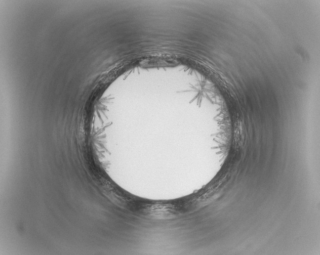 X0000116030566200912181212