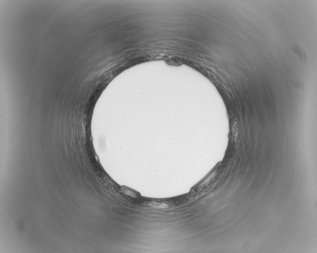 X0000116030570200912181212