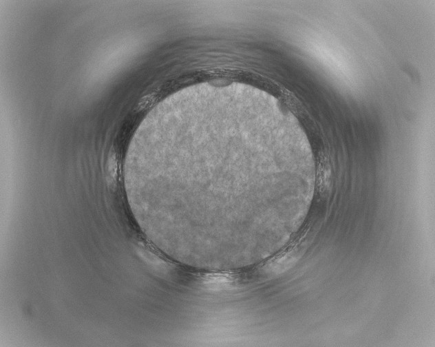 X0000116030574200912181212