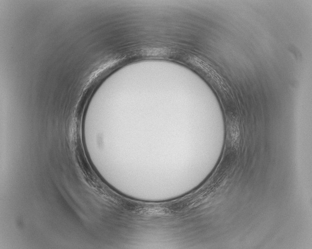 X0000116030583200912181212
