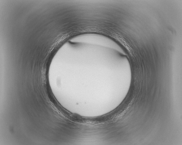 X0000116030585200912181212