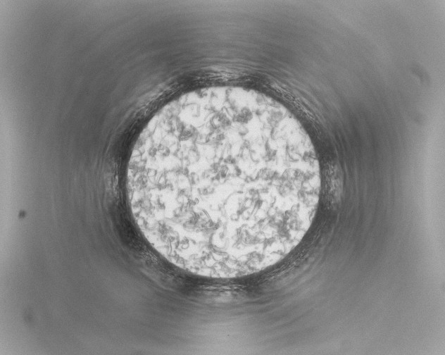 X0000116030615200912181211