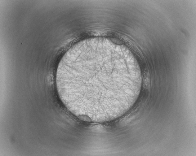 X0000116030620200912181211