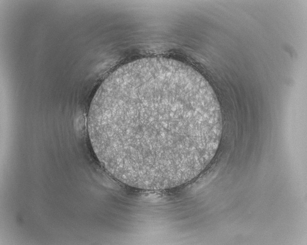 X0000116030624200912181211