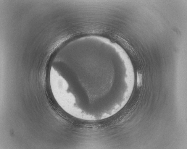 X0000116030627200912181211
