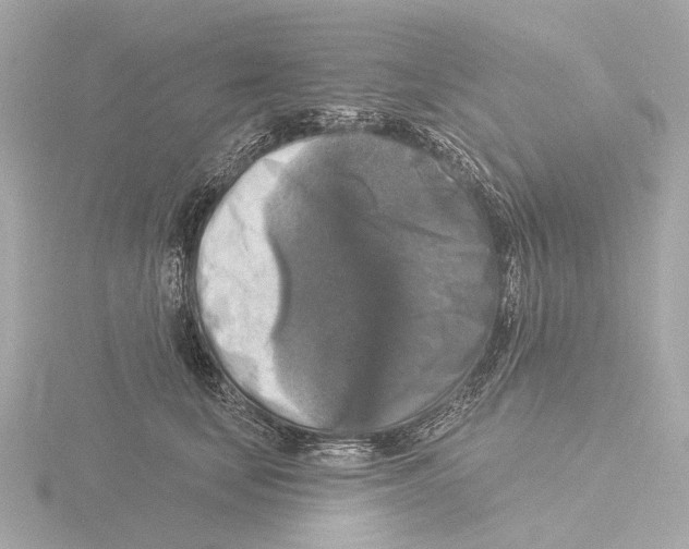X0000116030659200912181211
