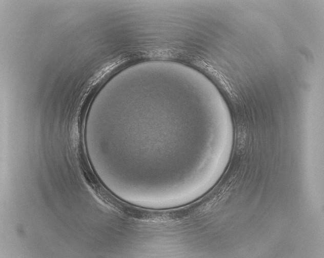 X0000116030674200912181211