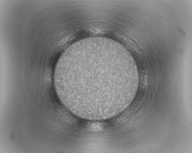 X0000116030710200912181210