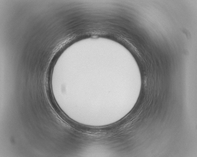 X0000116030725200912181209
